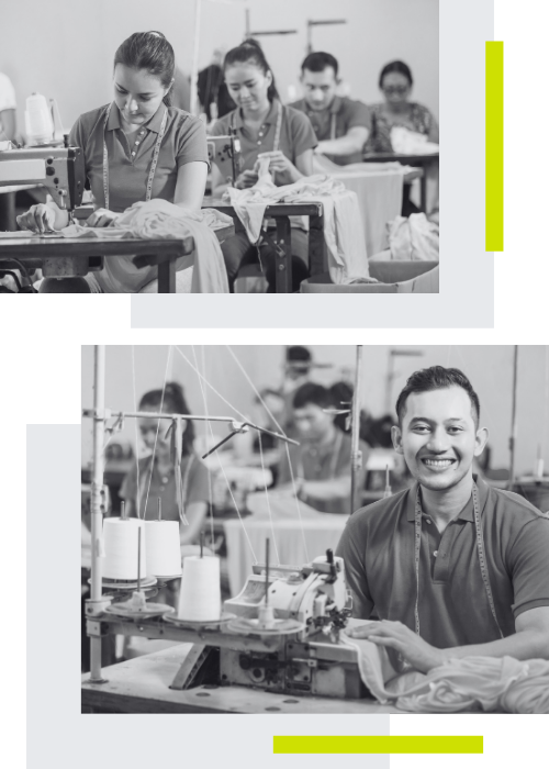 Sem nome  (500 x 510 px) (3).png